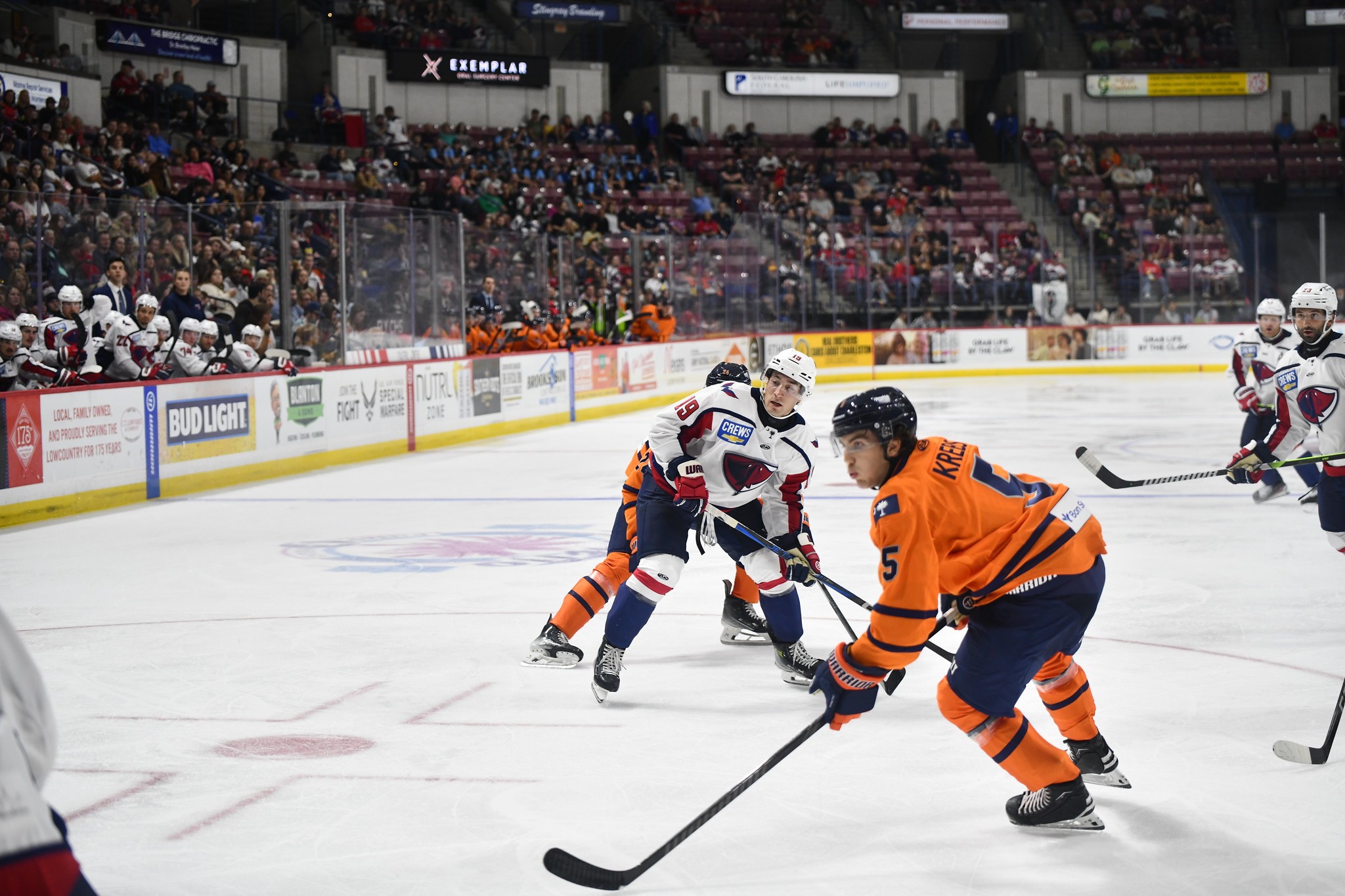 Greenville Swamp Rabbits