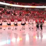Swamp Rabbits