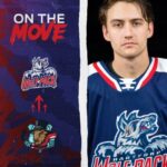 Case McCarthy Hartford Wolf Pack