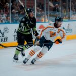 Greenville Swamp Rabbits
