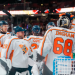 Greenville Swamp Rabbits