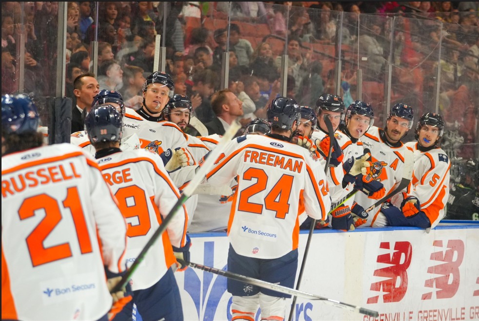 Greenville Swamp Rabbits