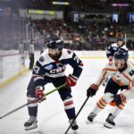 Greenville Swamp Rabbits
