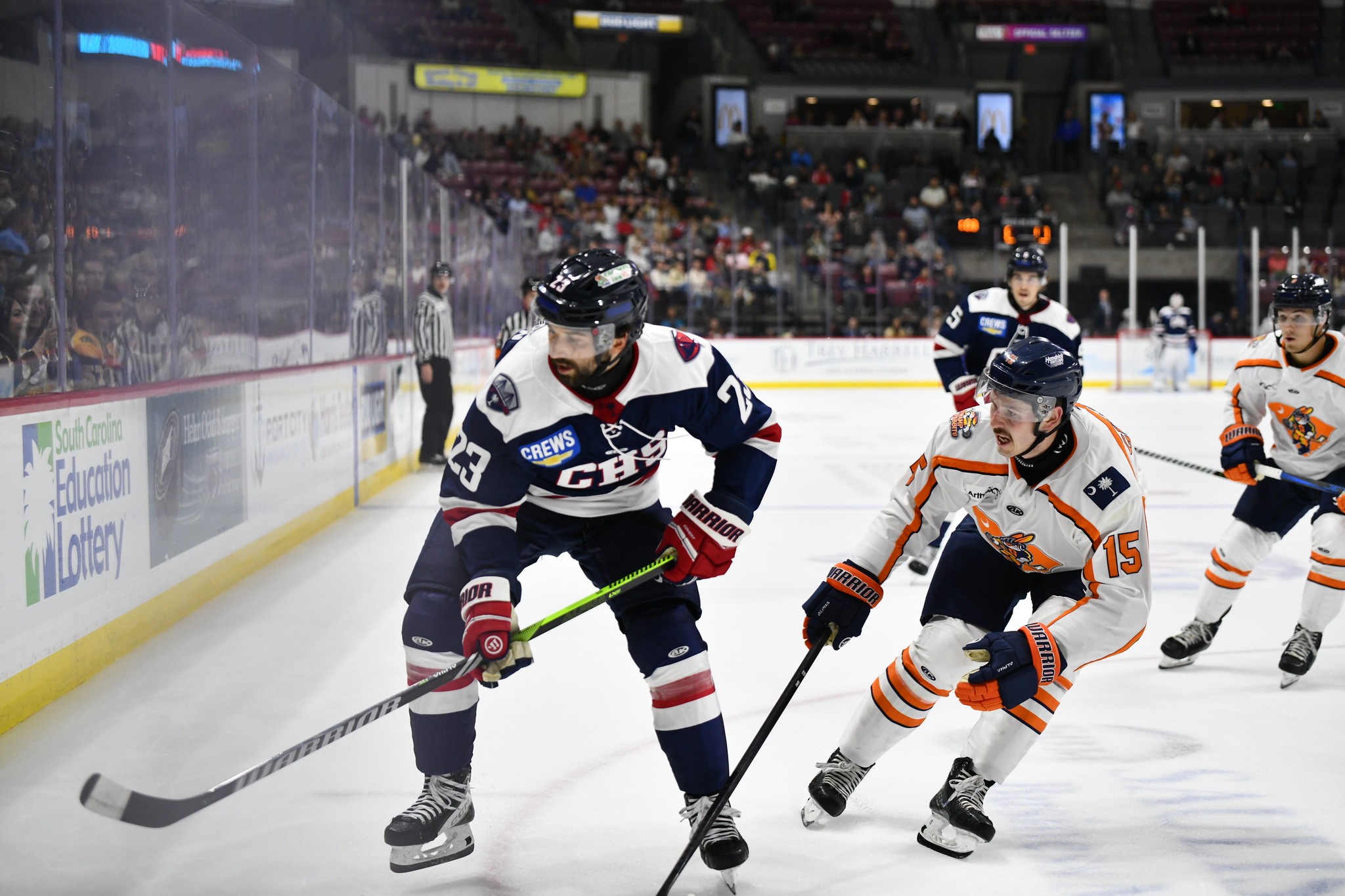 Greenville Swamp Rabbits