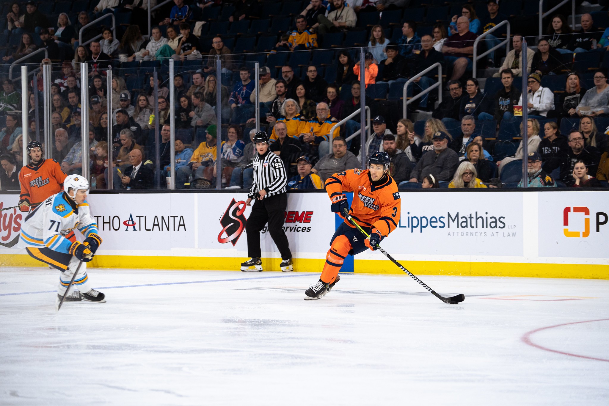 Greenville Swamp Rabbits