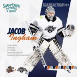 Greenville Swamp Rabbits