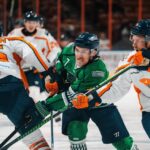 Greenville Swamp Rabbits