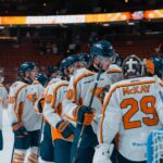 Greenville Swamp Rabbits