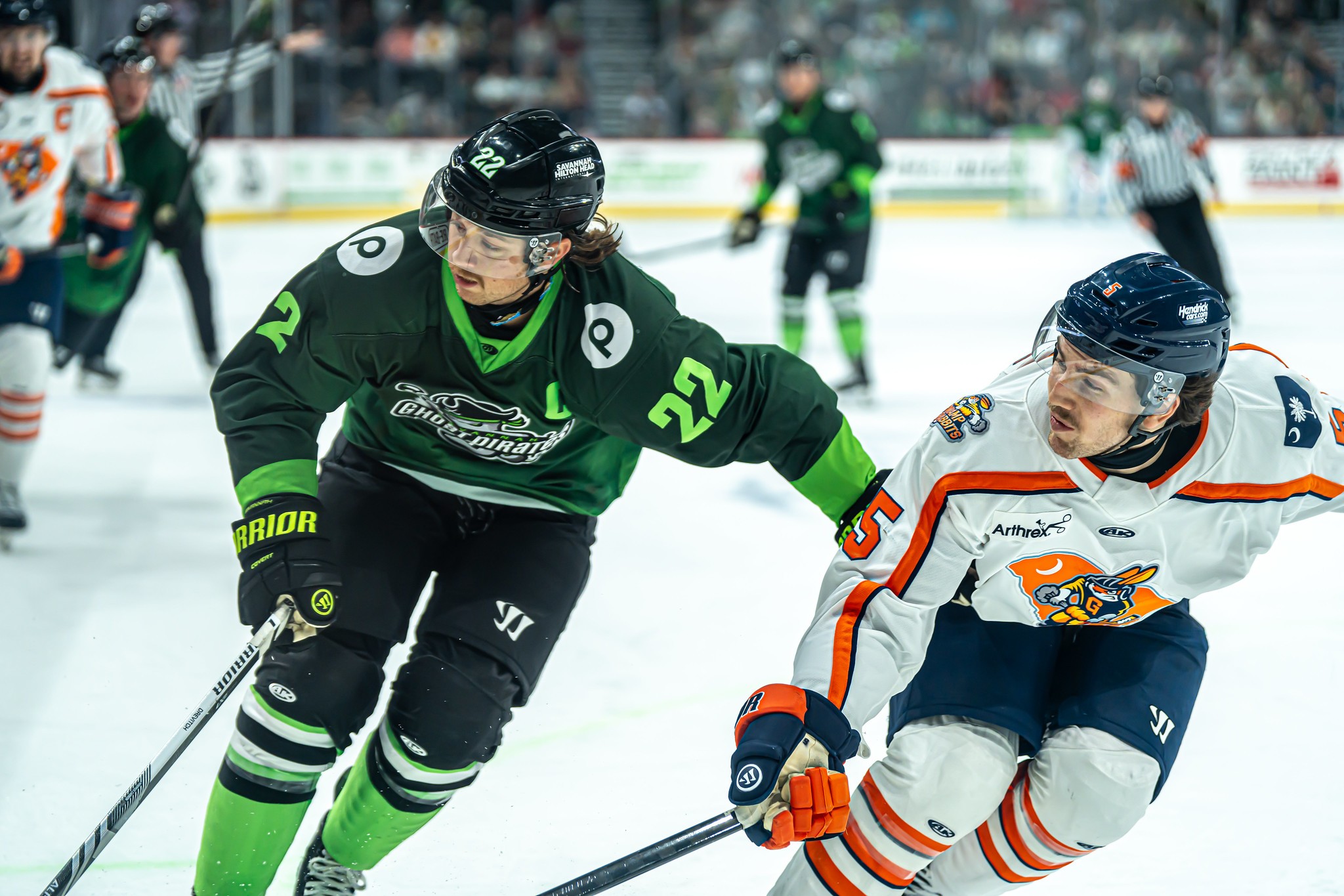 Greenville Swamp Rabbits