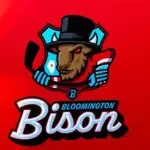 Bloomington Bison