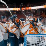 Greenville Swamp Rabbits
