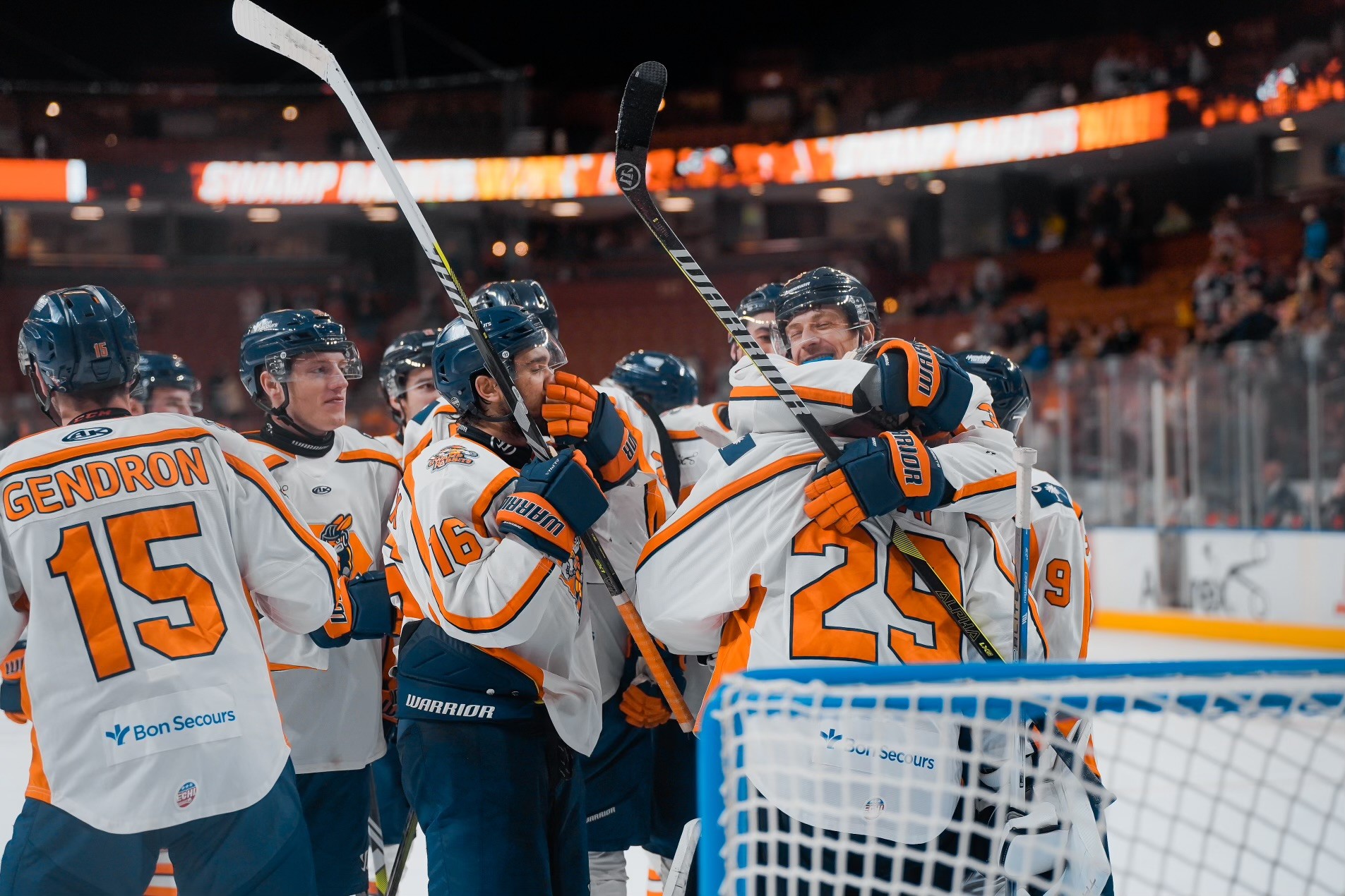 Greenville Swamp Rabbits