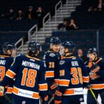 Greenville Swamp Rabbits