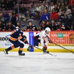 Greenville Swamp Rabbits