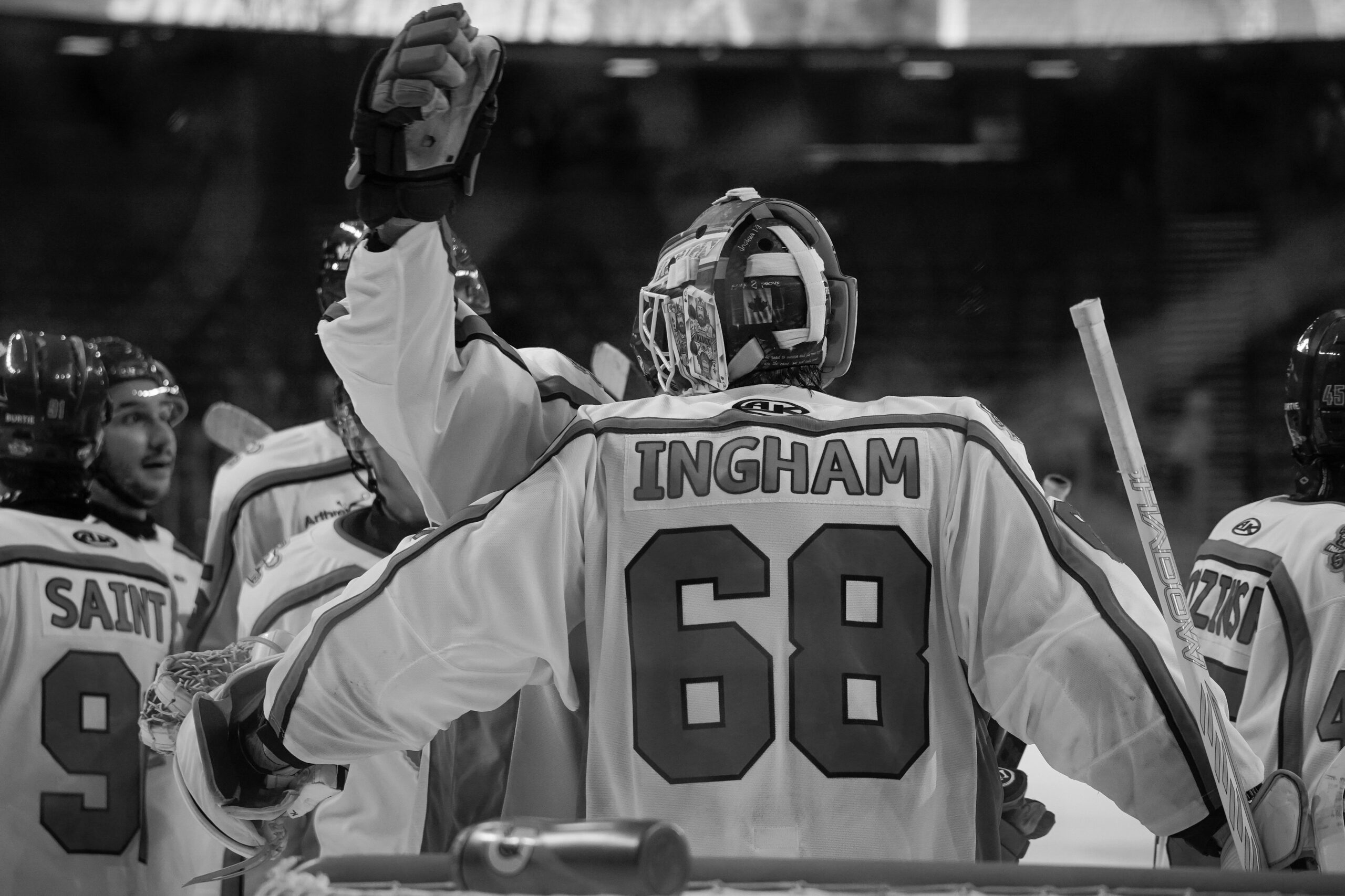 Greenville Swamp Rabbits