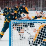 Greenville Swamp Rabbits