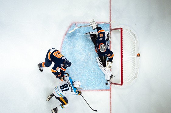 Greenville Swamp Rabbits