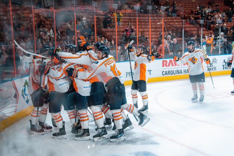 Greenville Swamp Rabbits