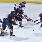 Greenville Swamp Rabbits