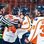 Greenville Swamp Rabbits