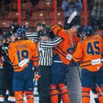 Greenville Swamp Rabbits