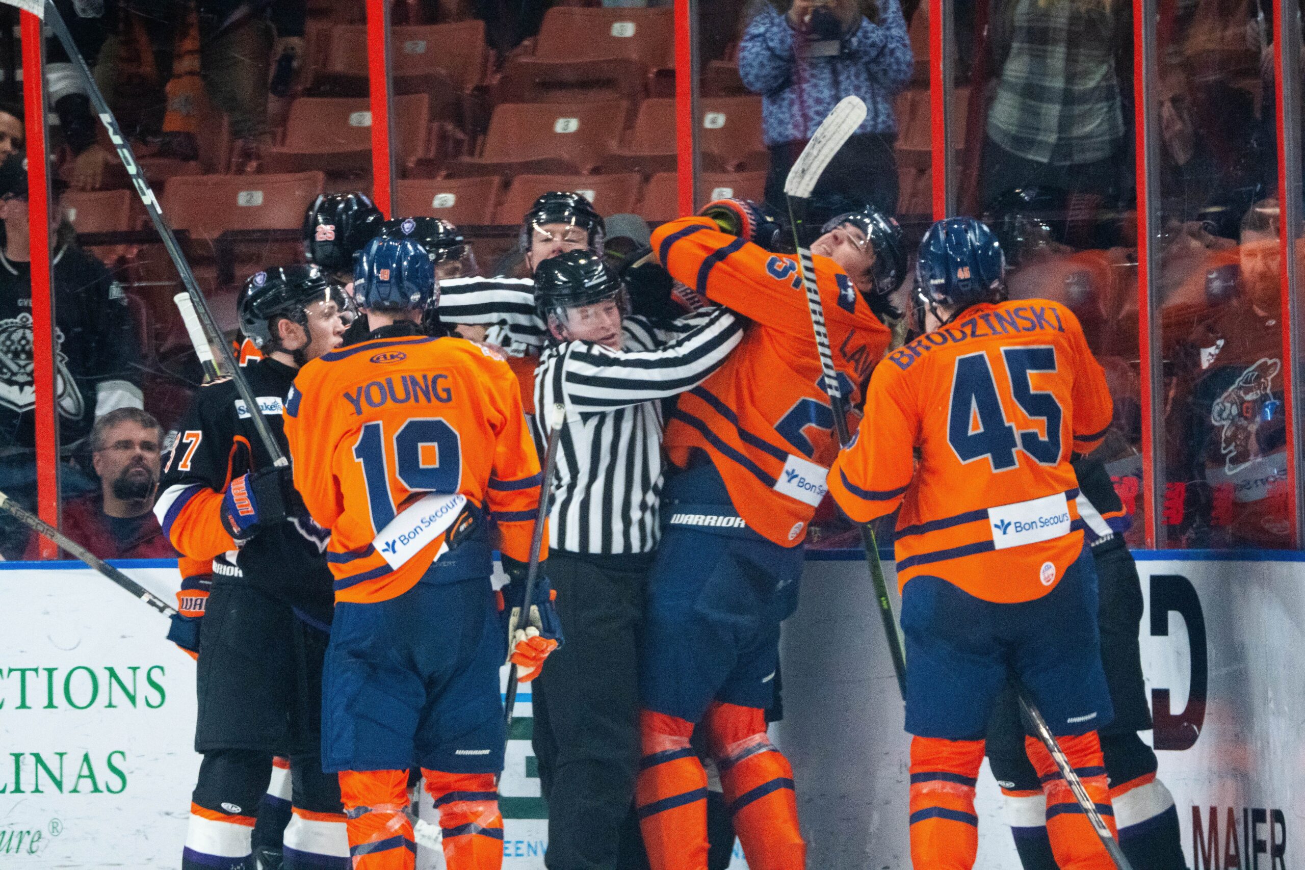 Greenville Swamp Rabbits