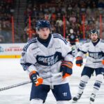 GREENVILLE SWAMP RABBITS
