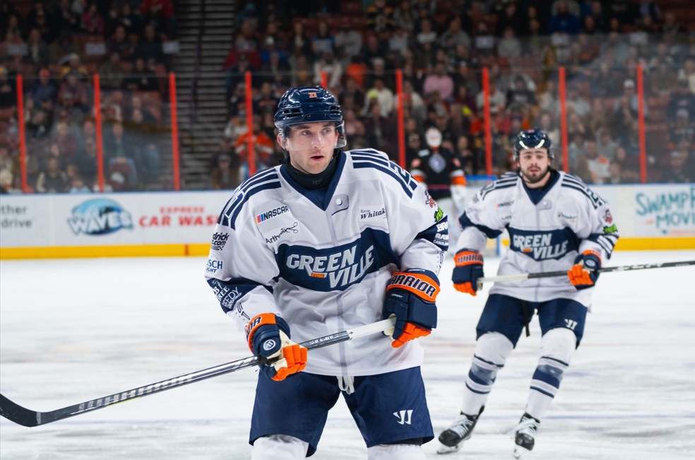GREENVILLE SWAMP RABBITS