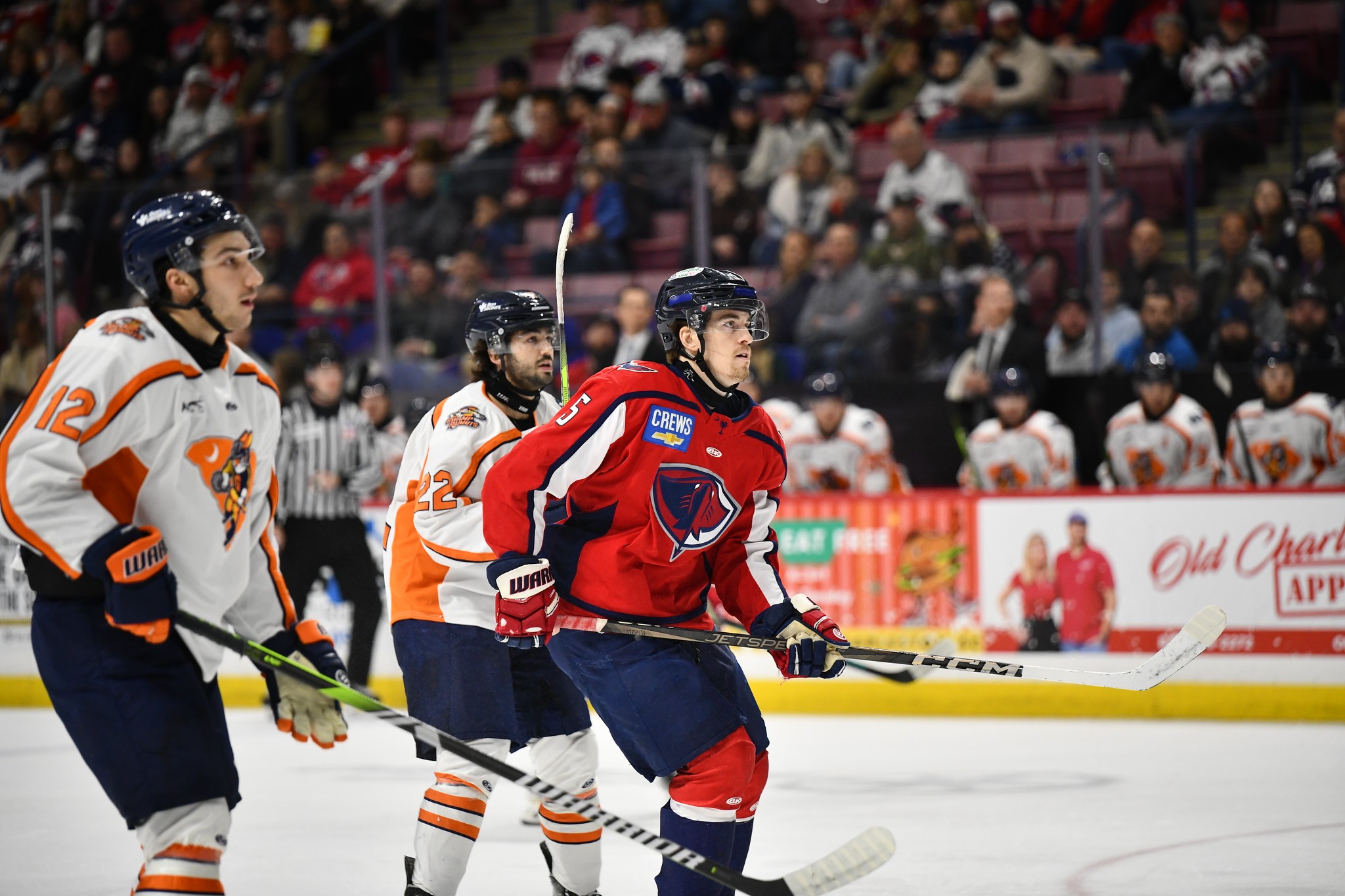 GREENVILLE SWAMP RABBITS