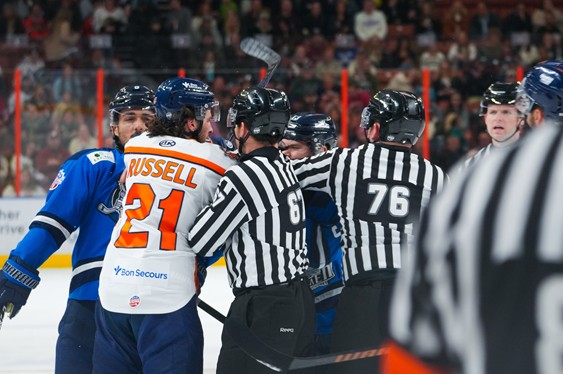 Greenville Swamp Rabbits