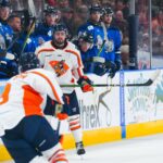 Greenville Swamp Rabbits