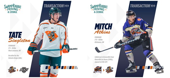 Greenville Swamp Rabbits