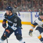 Greenville Swamp Rabbits