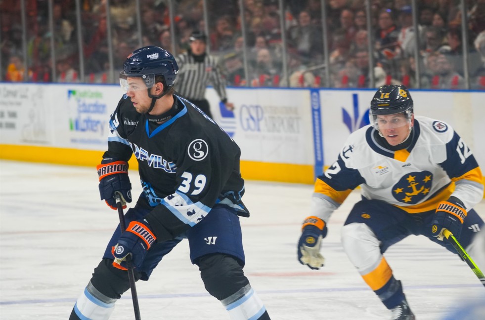 Greenville Swamp Rabbits