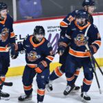 Greenville Swamp Rabbits