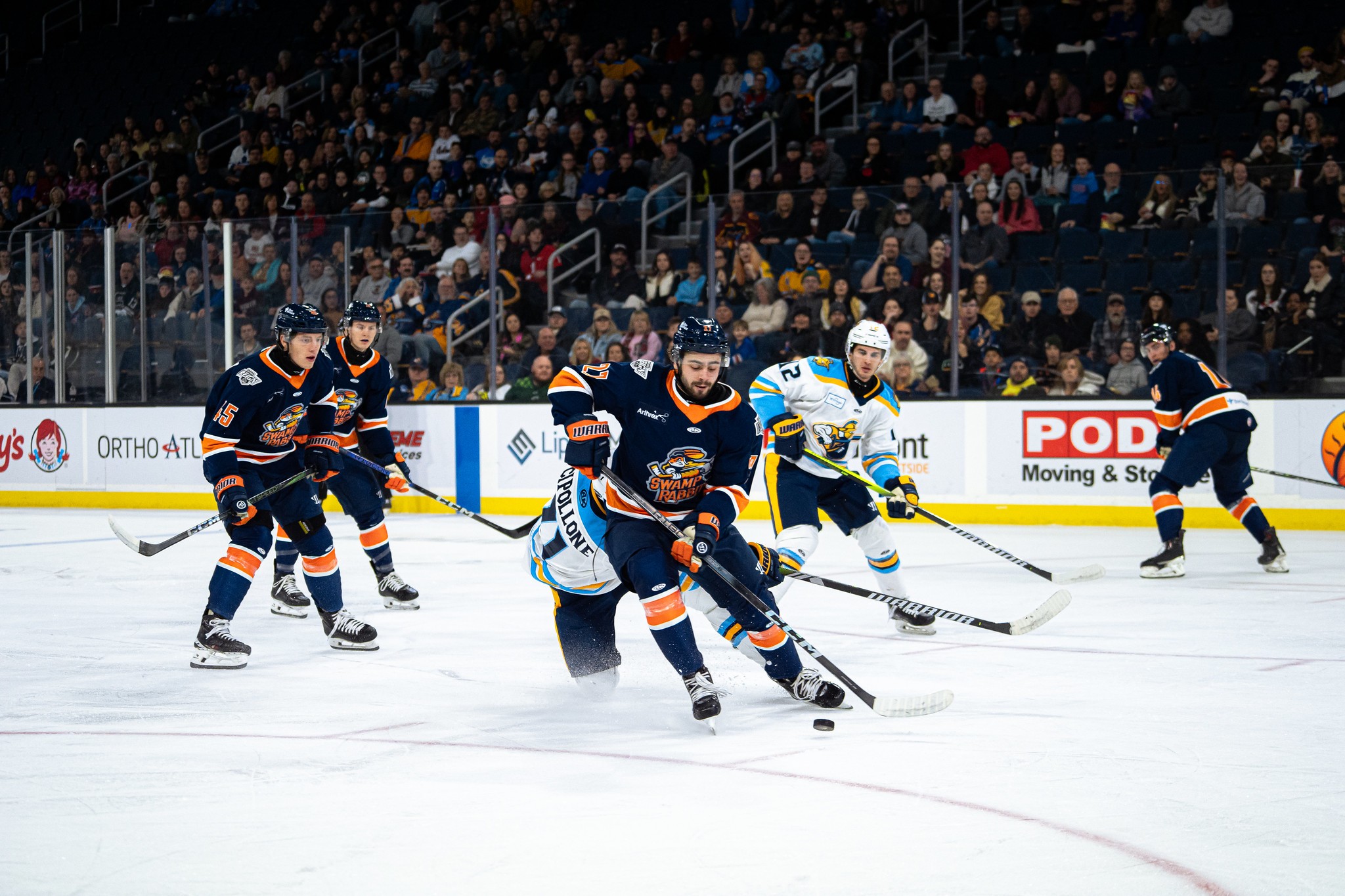 Greenville Swamp Rabbits