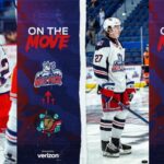 Hartford Wolf Pack