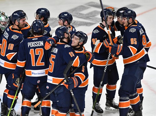 Greenville Swamp Rabbits