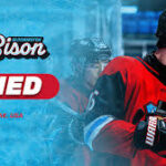 bison josh boyer