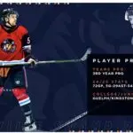 Greenville Swamp Rabbits