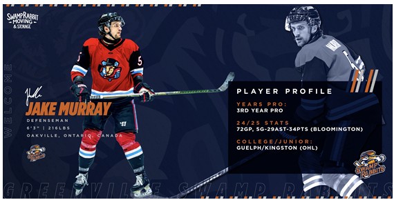 Greenville Swamp Rabbits