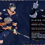 Greenville Swamp Rabbits