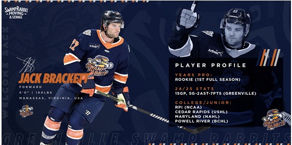 Greenville Swamp Rabbits