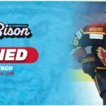 Bison Tedesco