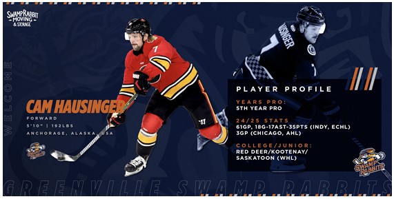 Greenville Swamp Rabbits