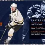Greenville Swamp Rabbits