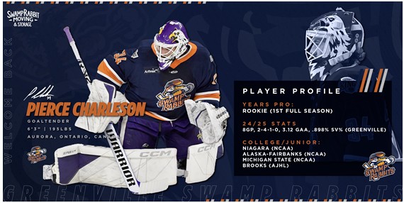 Greenville Swamp Rabbits