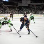 Greeeville Swamp Rabbits