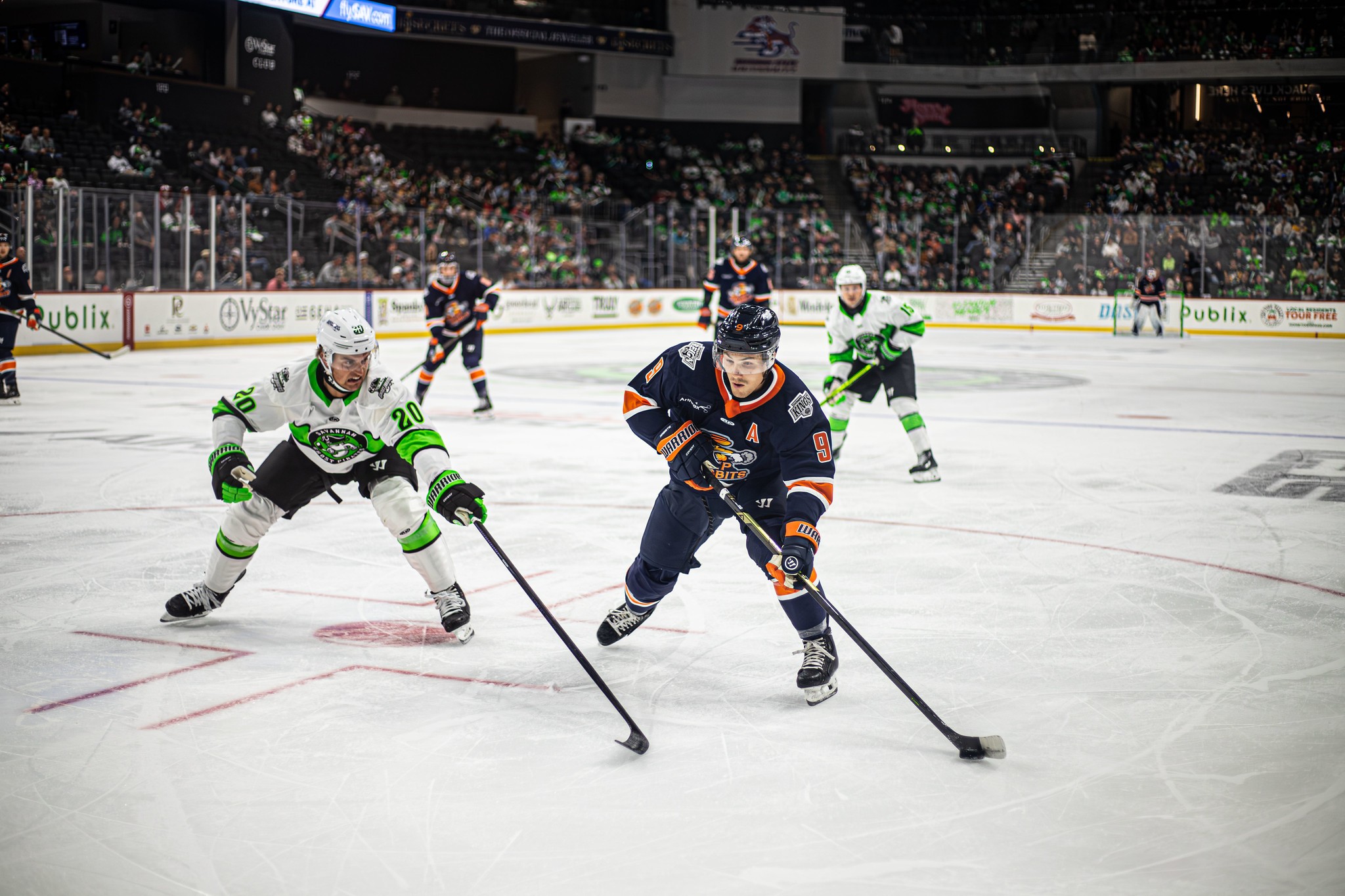Greeeville Swamp Rabbits
