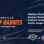 Greenville Swamp Rabbits